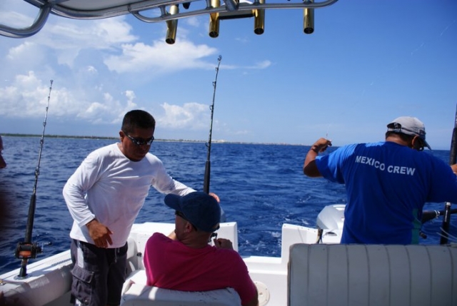 Guias especializados